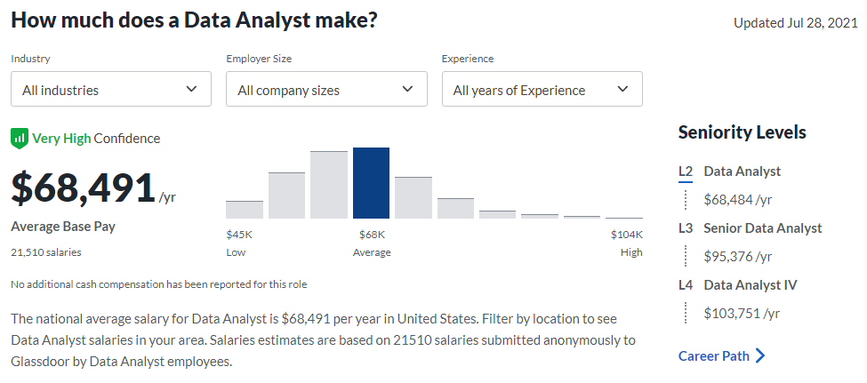 data analyst