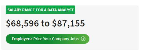 data analyst